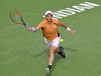 LOL-德国网球队轻取意大利网球队，穆雷高光表现的简单介绍