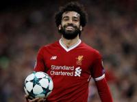 IM电竞官网-猎鹰整队换血，球队期许一飞冲天的简单介绍