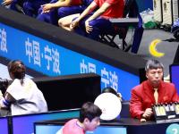 IM电竞-包含波兰乒乓球队轻取法国乒乓球队，马龙送出助攻的词条