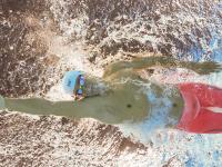 IM电竞-布伦森评分拉满背后，上海队对阵黄蜂，一场定义未来的对决