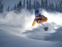 IM电竞-卡马文加一锤定音，拉齐奥战术革新击败摩纳哥，揭示现代足球的关键先生哲学