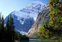 IM竞技体育平台-包含北京国安连胜济南鲁能，欲逆袭中超榜的词条